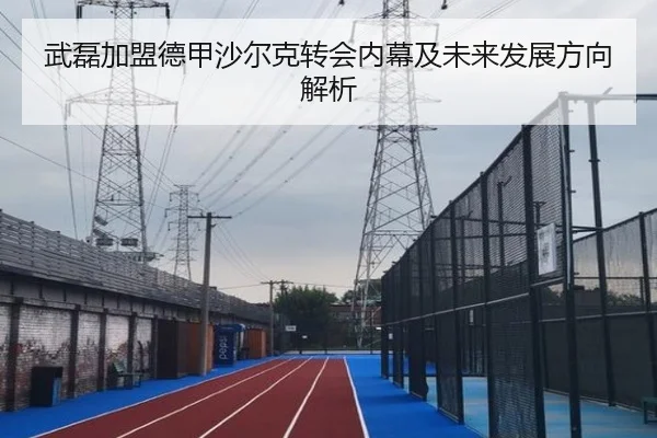武磊加盟德甲沙尔克转会内幕及未来发展方向解析